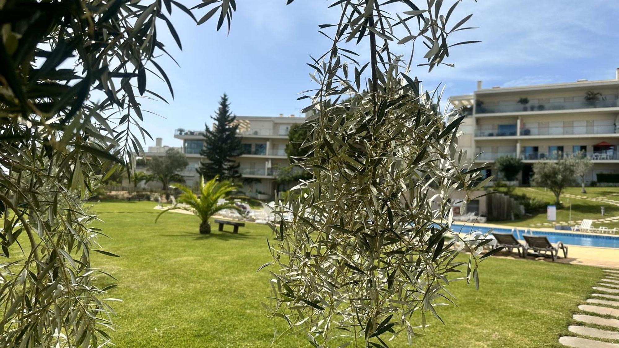 Charmant Appartement A 1Km De La Plage, Avec Piscine A Albufeira Luaran gambar
